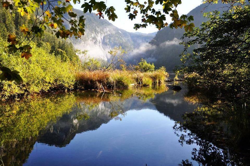 Greenheart Aussee Obersdorf Exterior foto